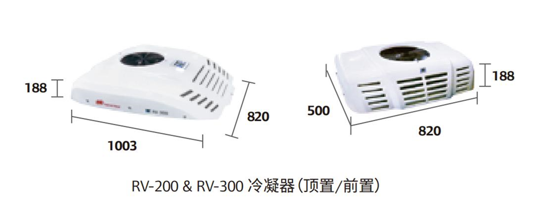 RV-300(圖1)